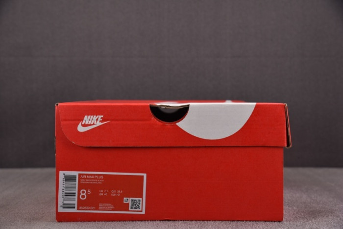 Nike Air Max Plus TN 