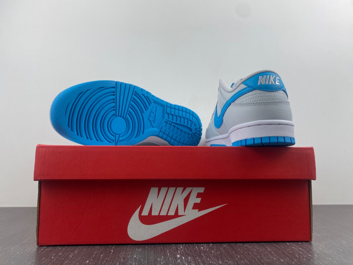 nike dunk low retro pure platinum dv0831-001