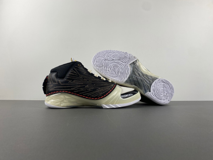 Titan x Air Jordan 23 Retro SP