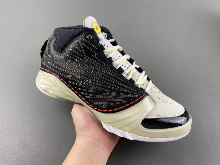 Titan x Air Jordan 23 Retro SP
