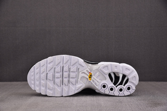 Nike Air Max Plus Black Womens | DM2362-001