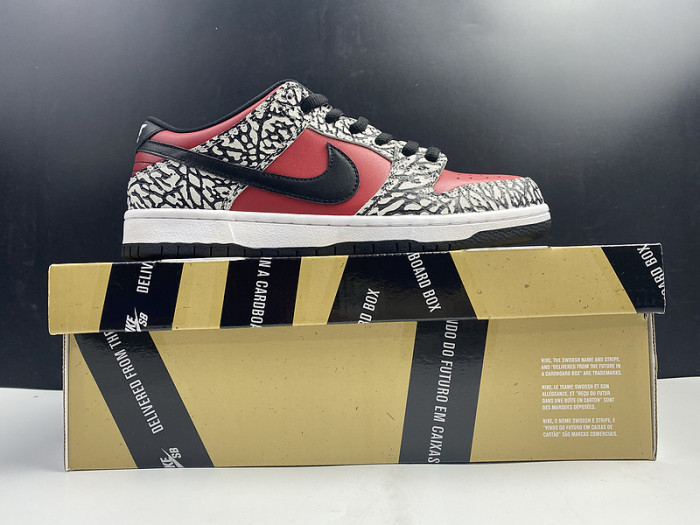 NIKE Dunk SB 313170-600