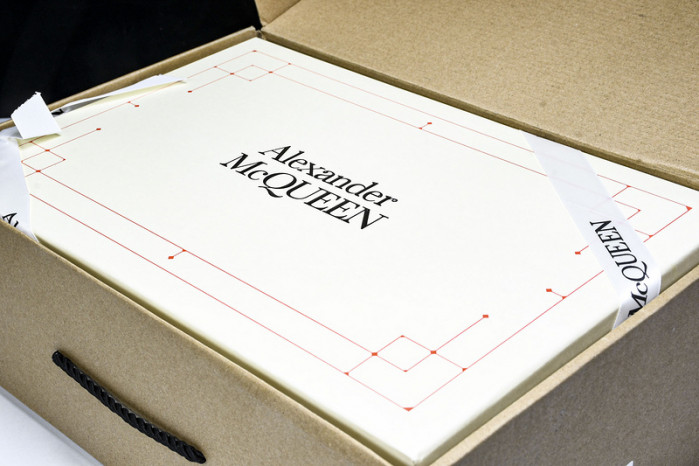 Ale*d*r M*Q*en E2729