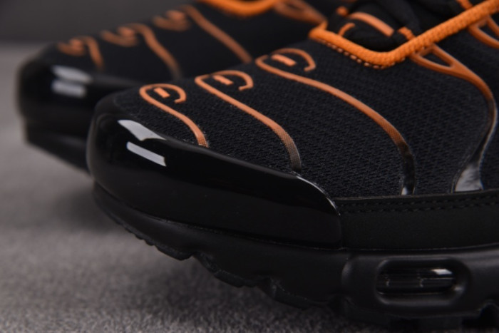 Nike Air Max Plus Dark Obsidian Monarch FN6949-400