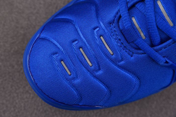 Nike Air VaporMax Plus 