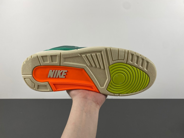 nina Ch*el abney x air jordan 3 fz7974-300